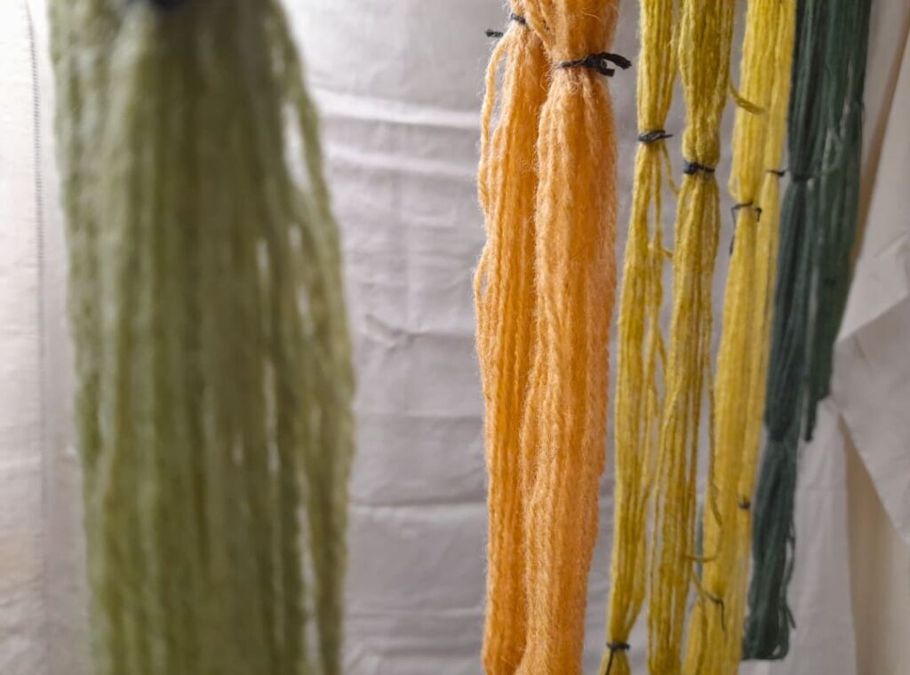 Teinture végétale projet éco-responsable